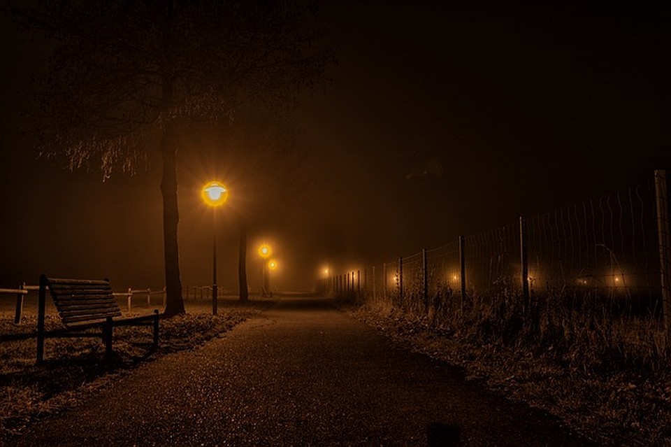 ФОТО: pixabay.com.