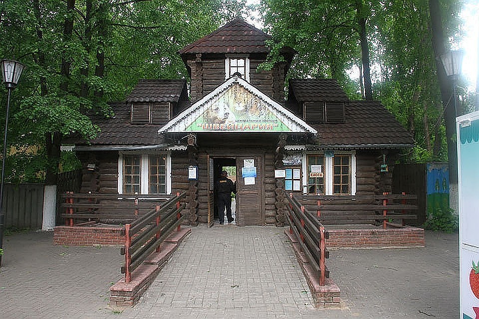 «Зверей зоопарка «Мишутка» распродают на мясо»: в социальных сетях утверждают, что закрытый зоопарк начали уничтожать
