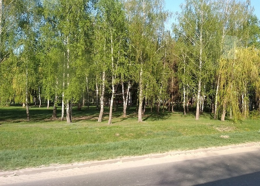 Сейчас ведется проверка, результаты которой будут готовы к 24 мая