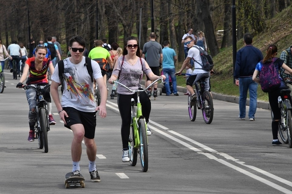 Велопрогулка пройдет по Городскому бору в Челябинске.