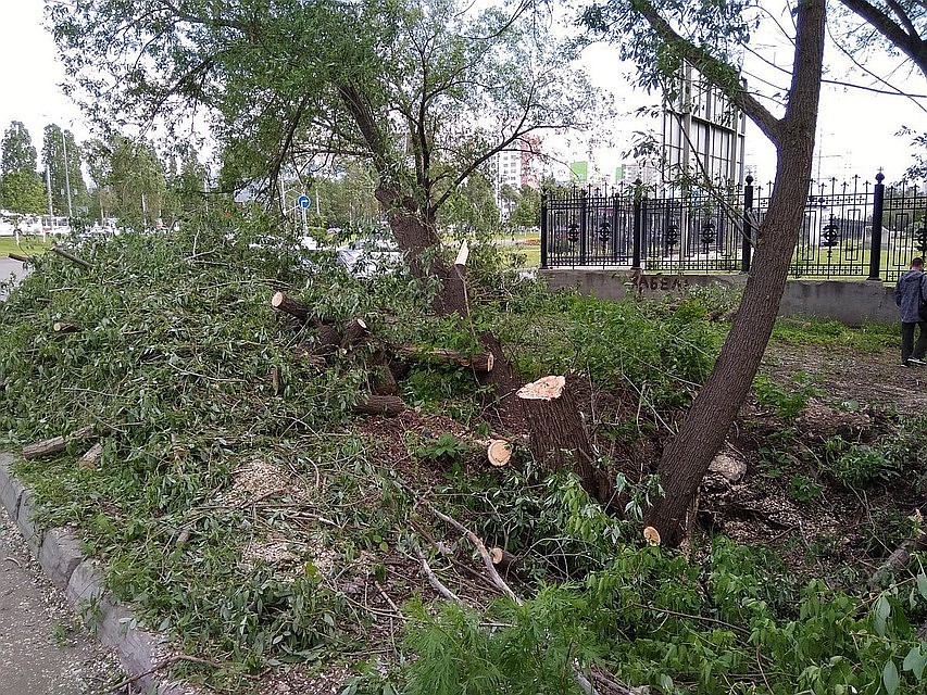 фото: соцсети