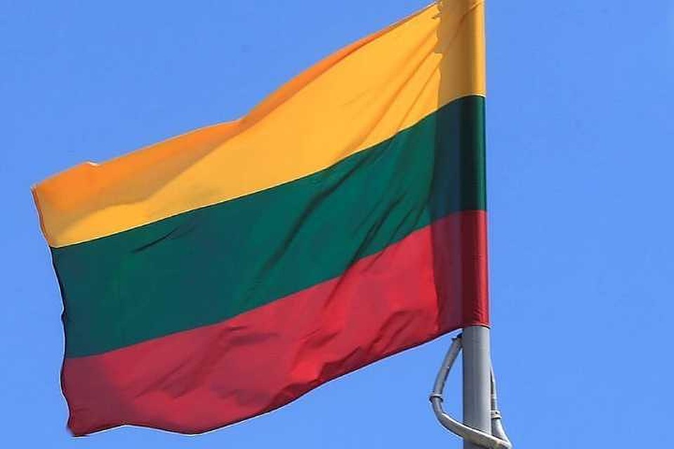 Второй тур голосования проходит в Литве в воскресенье, 26 мая