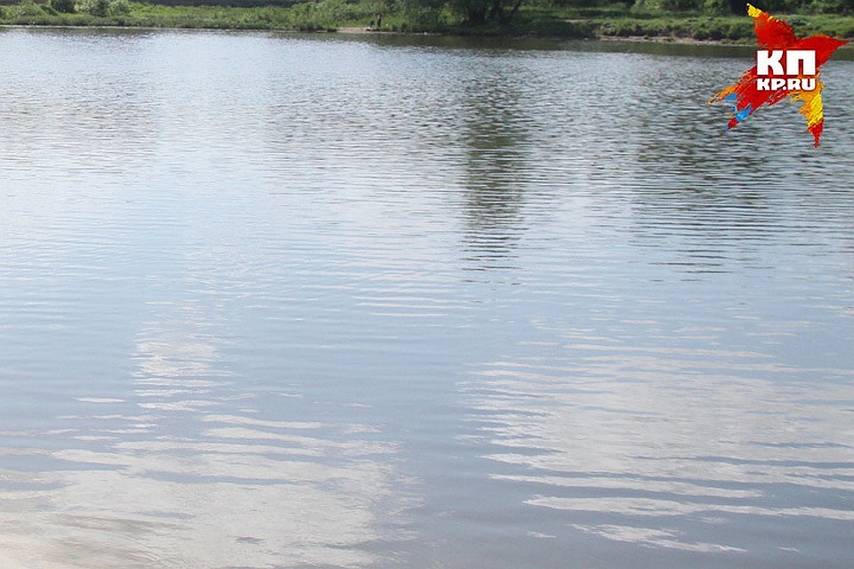 11-летняя девочка утонула на водохранилище в Тверской области