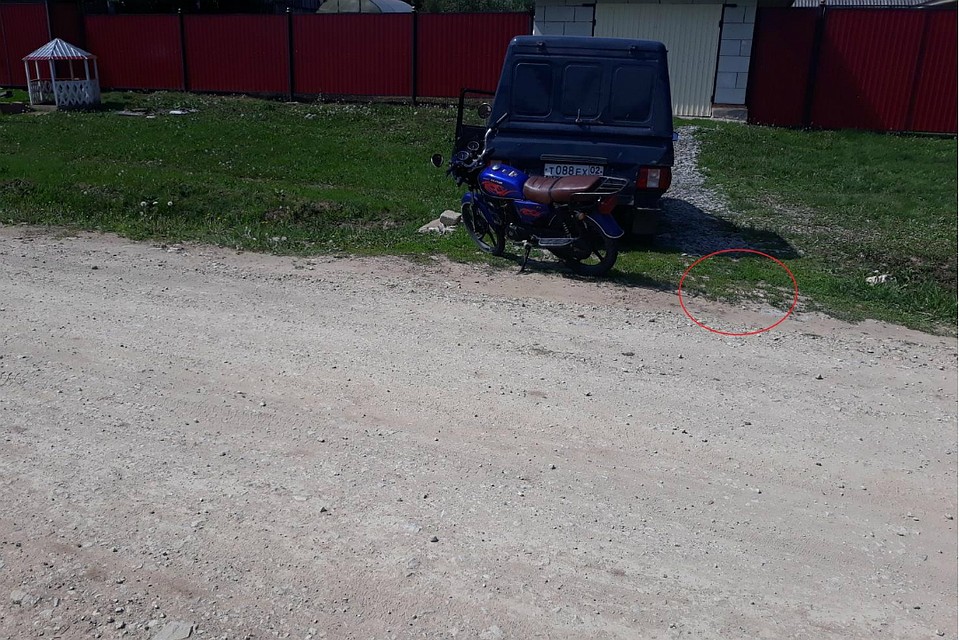 Водитель авто не пострадал. Фото: УГИБДД УМВД России по Кировской области