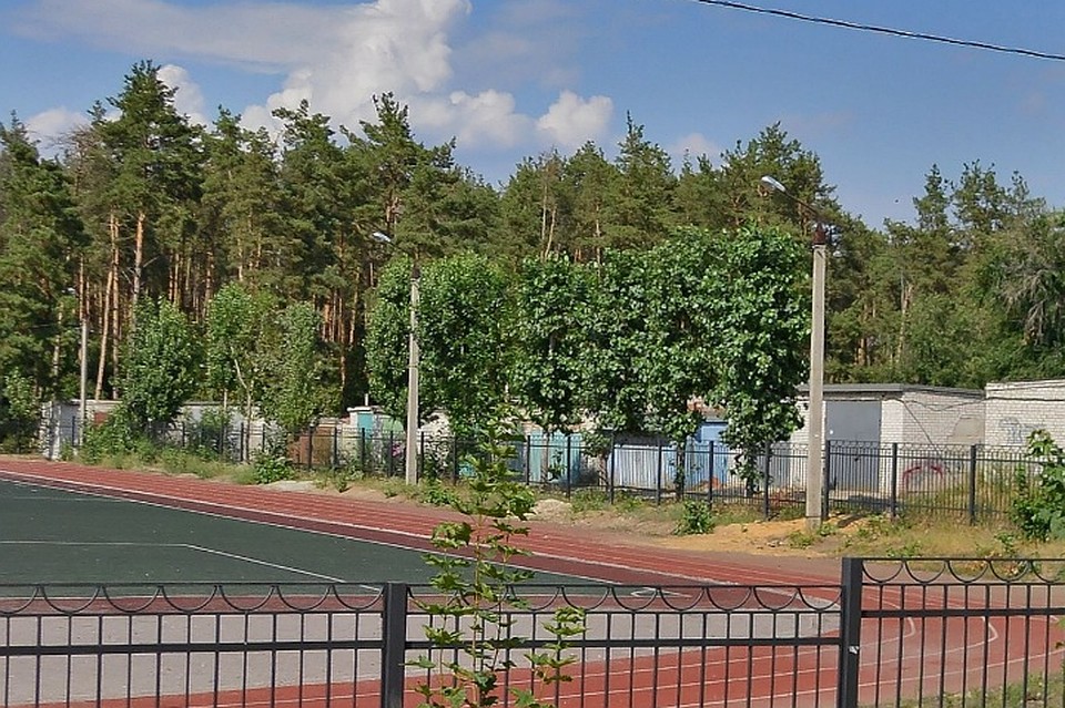 фото: Яндекс.Карты./ Гаражи соседствуют со школьной площадкой, где гуляли родители с детьми.