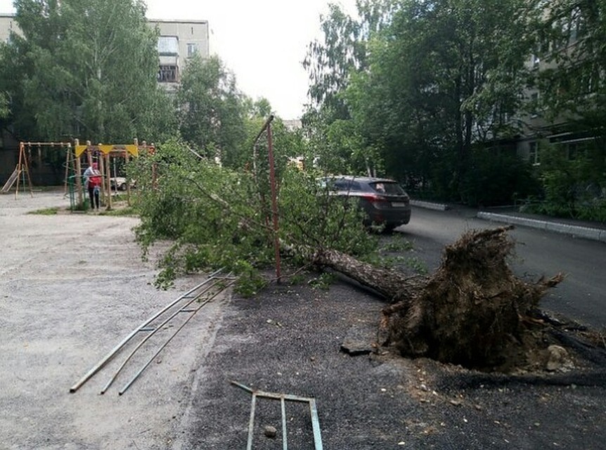 Дерево рухнуло рядом с машиной и детской площадкой. Фото: vk.com/chp_dtp
