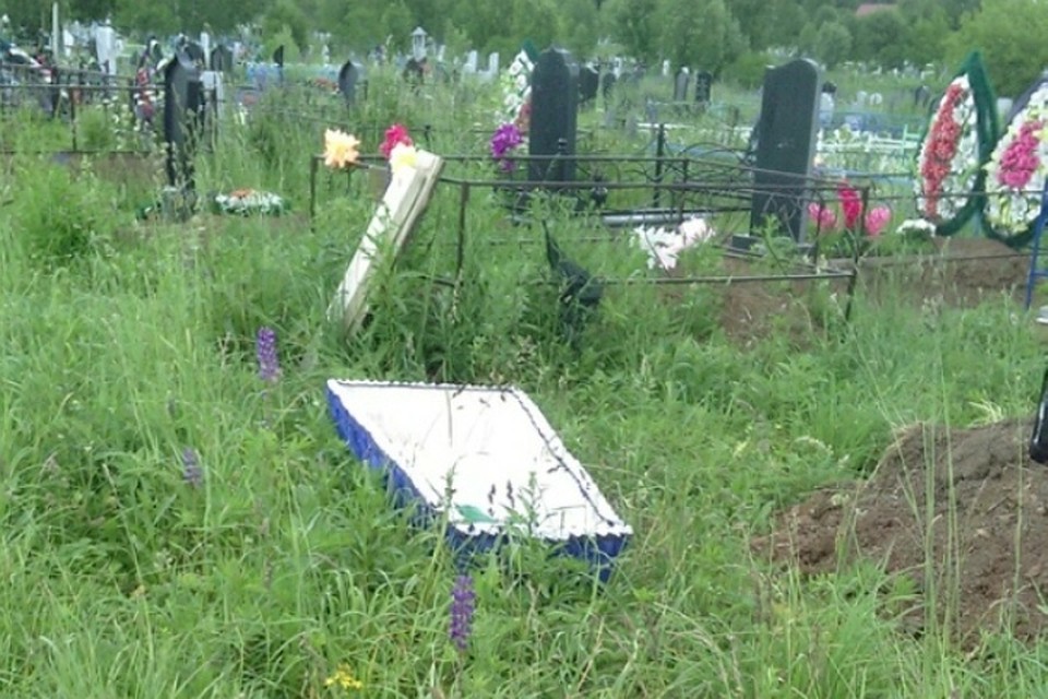 Вот такой снимок выложил в соцсеть пользователь страницы ВКонтакте группы «Подслушано Чернушка».
