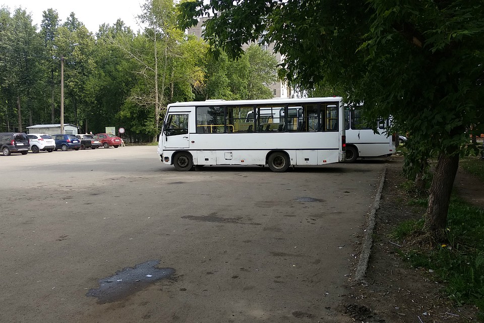 Выхлоп новых автобусов практически невидим, он не превышает допустимых норм