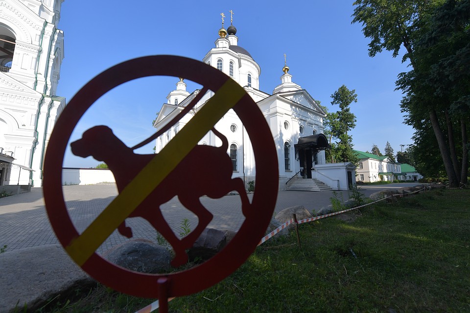 С начала текущего года в органы полиции городов и районов Коми поступило более 700 заявлений по фактам свободного выгула собак