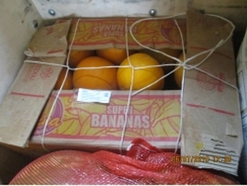 Казахстанцы пытали провезти 4 тонны продукции, но их задержали. Фото - пресс-служба управления Федеральной службы по ветеринарному надзору по Тюменской области.