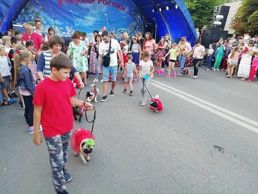 Собак одели в "вишневые" наряды
