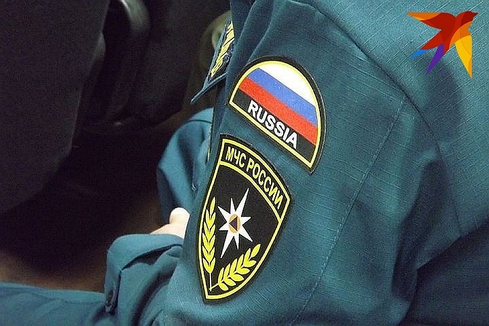 В лесах Калязинского района ищут двух пропавших женщин