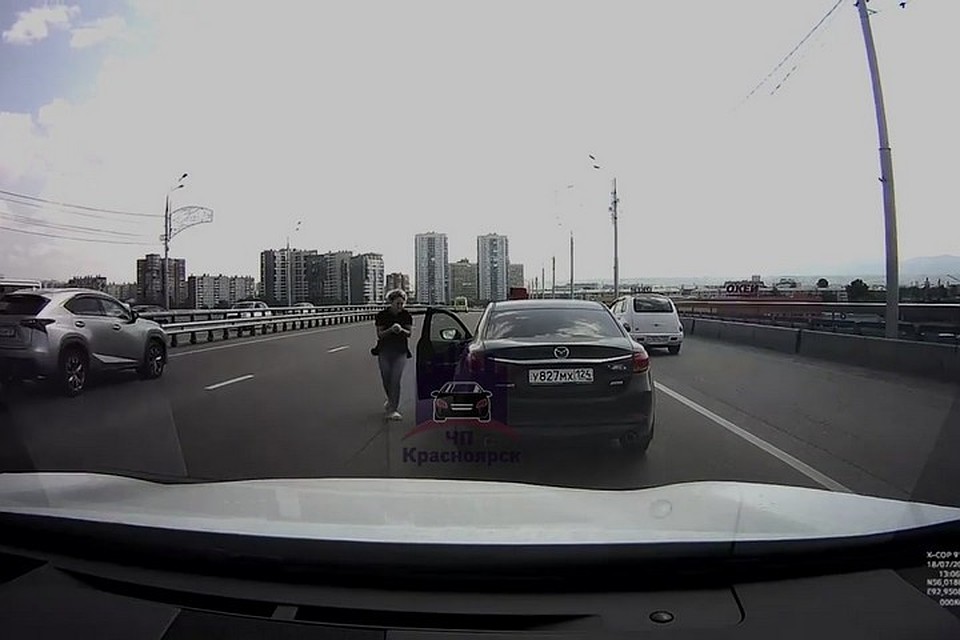 «Езжай, дура!»: в Красноярске на мосту девушка, рискуя собой и дорогой иномаркой, спасла котенка. Стоп-кадр видео "ЧП-Красноярск"