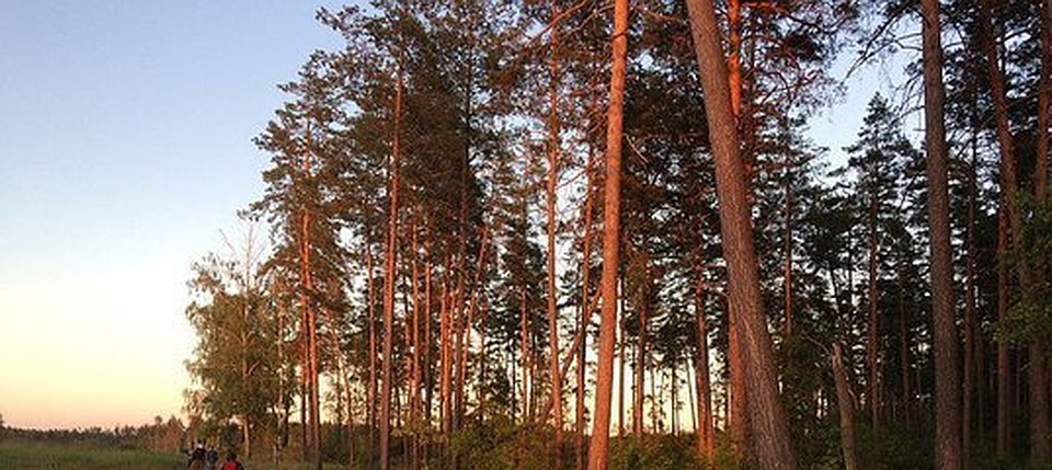 Горожан наконец-то порадует летняя погода.