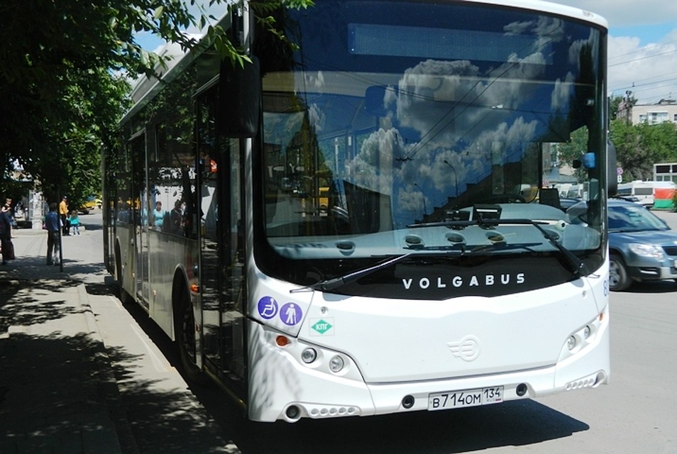 Бесплатные автобусы отвезут гостей на концерты. Фото: мэрия