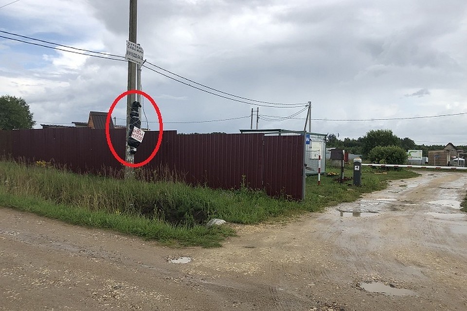 Фото: соцсети