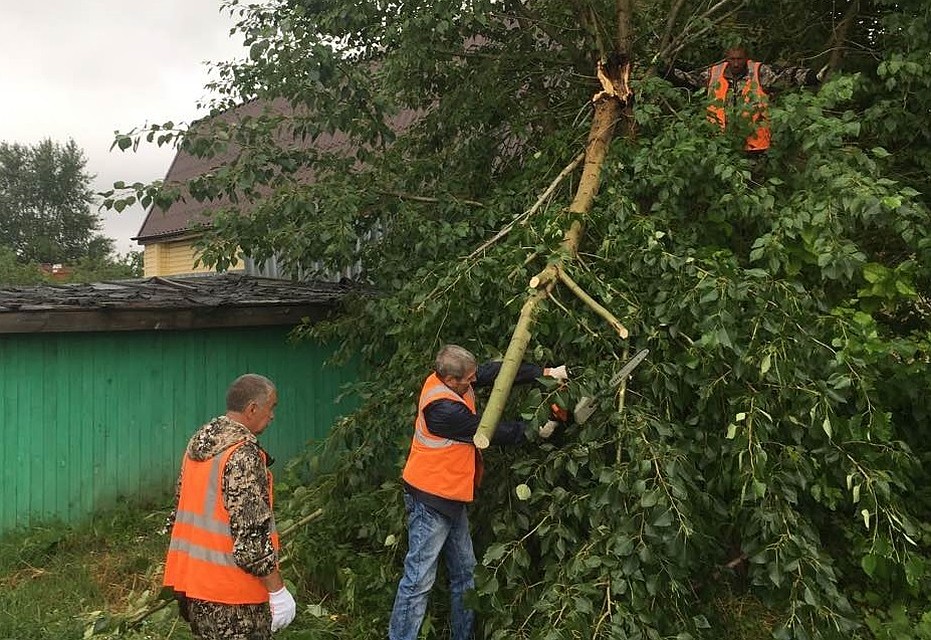 Рабочие поднимают упавшие с деревьев ветви. Фото - пресс-служба администрации города Тюмени.