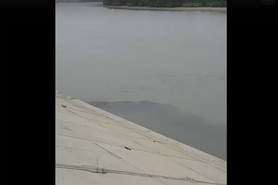 Стоп-кадр из видео