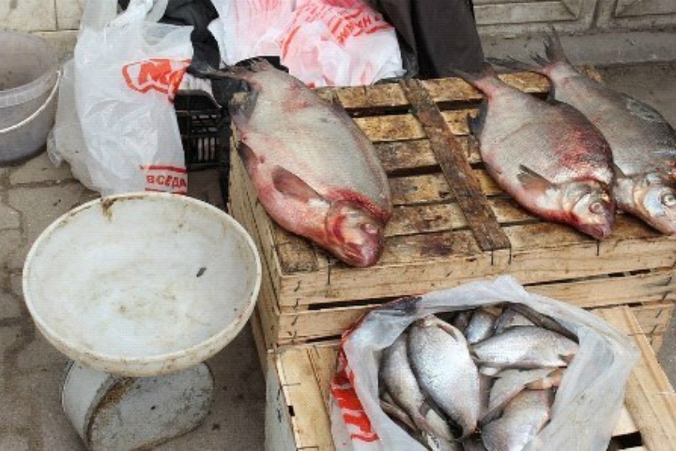 В Хабаровском крае за уличную торговлю рыбой начнут наказывать но новым правилам