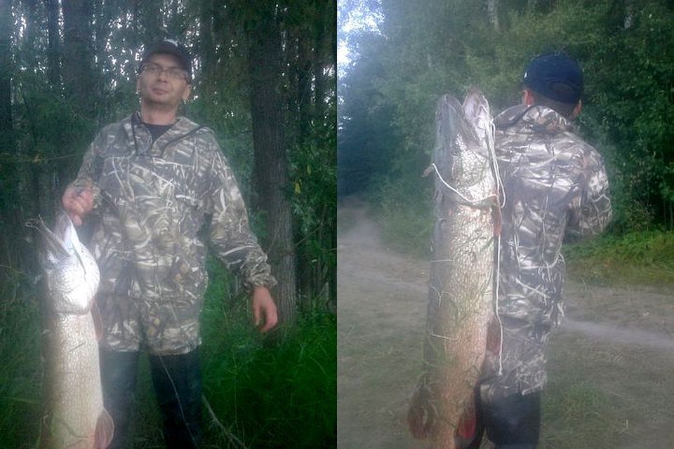 Вытащить такую рыбу из воды было непросто. Фото: fishingsib.ru.