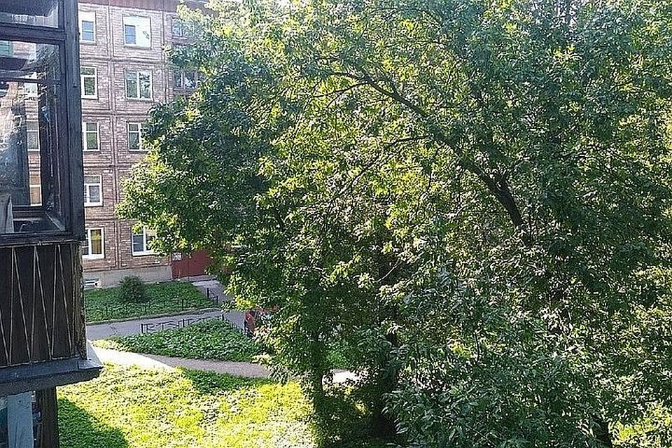 Жара вновь вернулась в Барнаул.