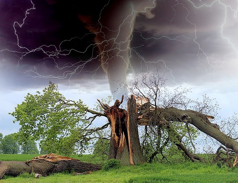 ФОТО: pixabay.com.