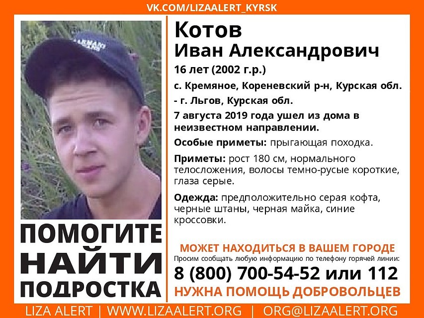 фото: предоставлено волонтерами.