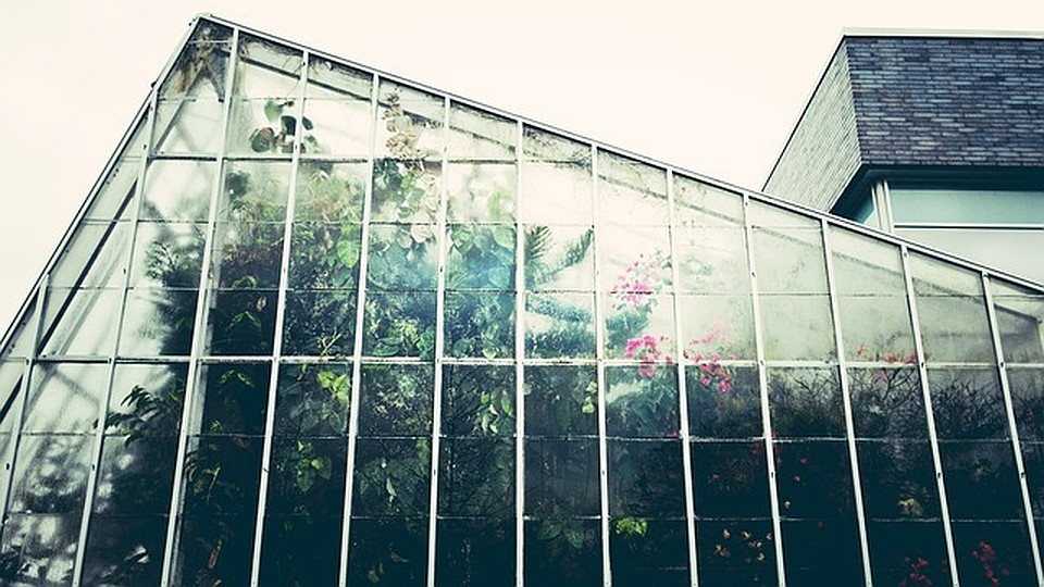 ФОТО: pixabay.com.