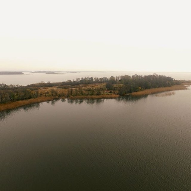Фото: Instagram.com. Городище 11-14 веков и посад у деревни Залучье.