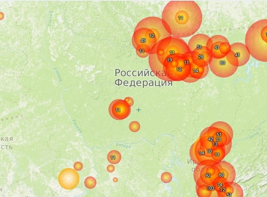Площадь лесных пожаров Фото: сервис космомониторинга fires.ru
