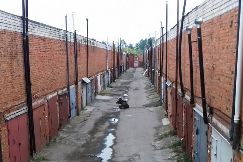 С места происшествия