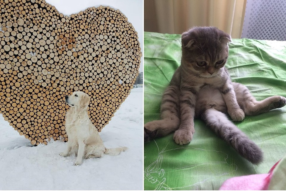 Фото участников, которые стали победителями.