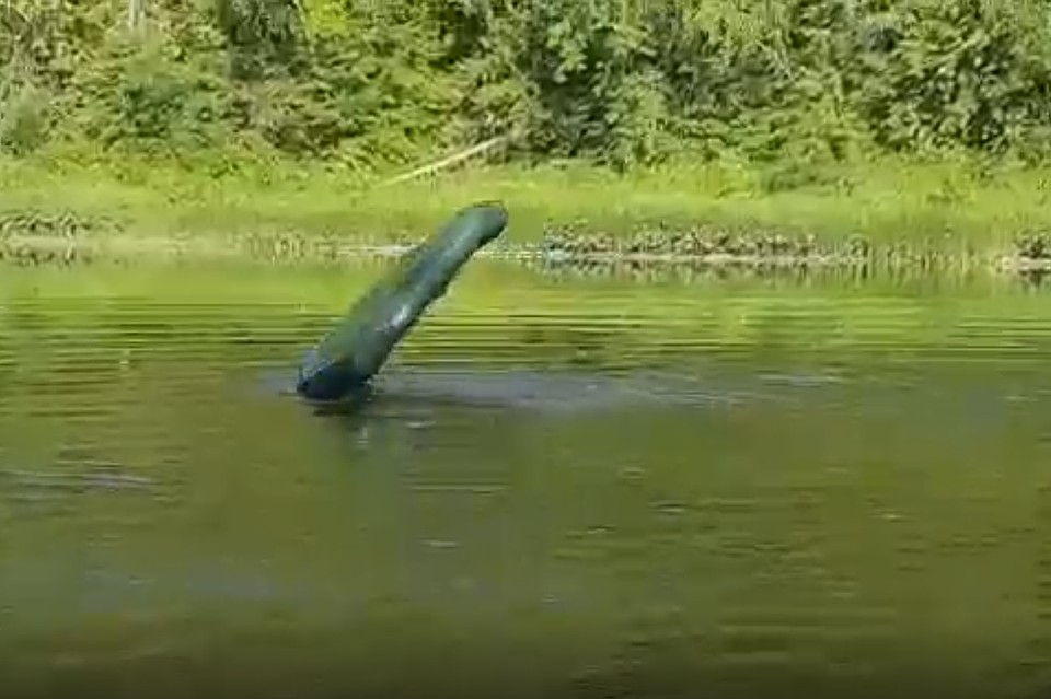 Лодку бросало из стороны в сторону.