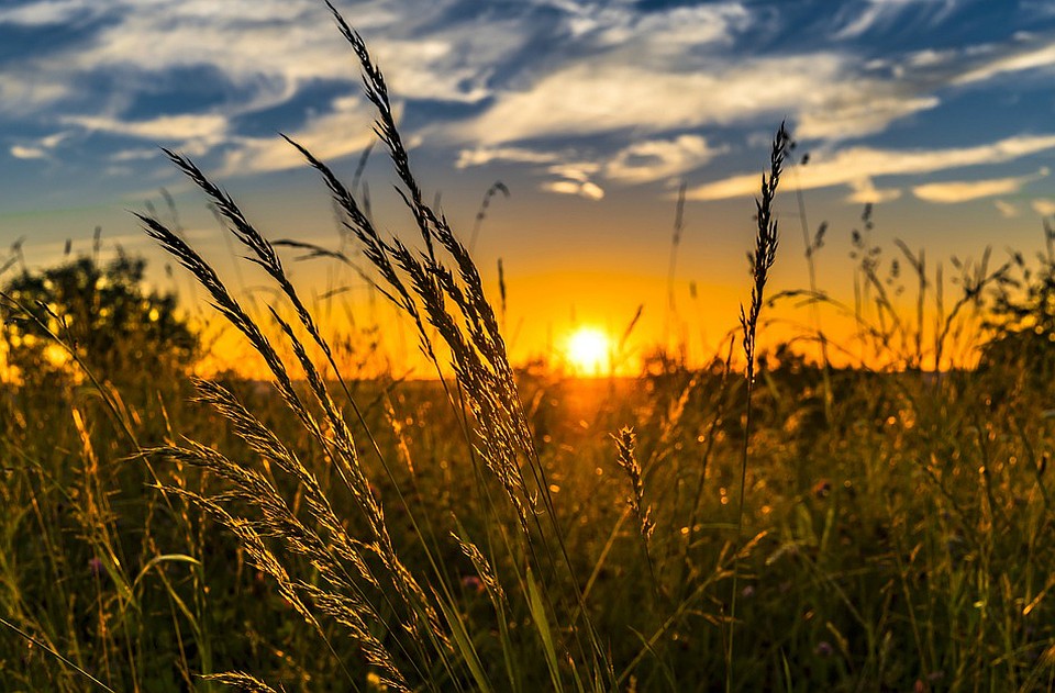 Неделя должна быть теплой и солнечной. Фото: pixabay.com