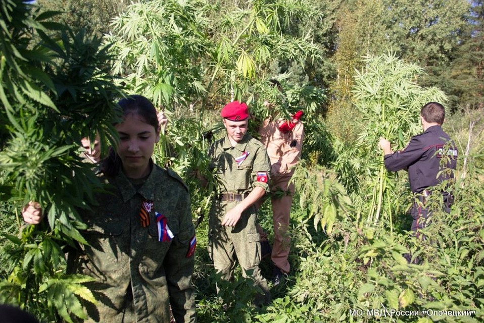 Подростки из военно-патриотического объединения пришли на помощь полиции.