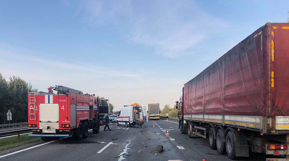 На трассе М1 Ford столкнулся с фурой: жена погибла, 6-летняя дочь в тяжелом состоянии. Фото: МВД