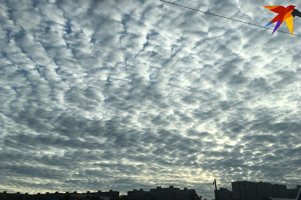 Северян на этой неделе ждет бабье лето.