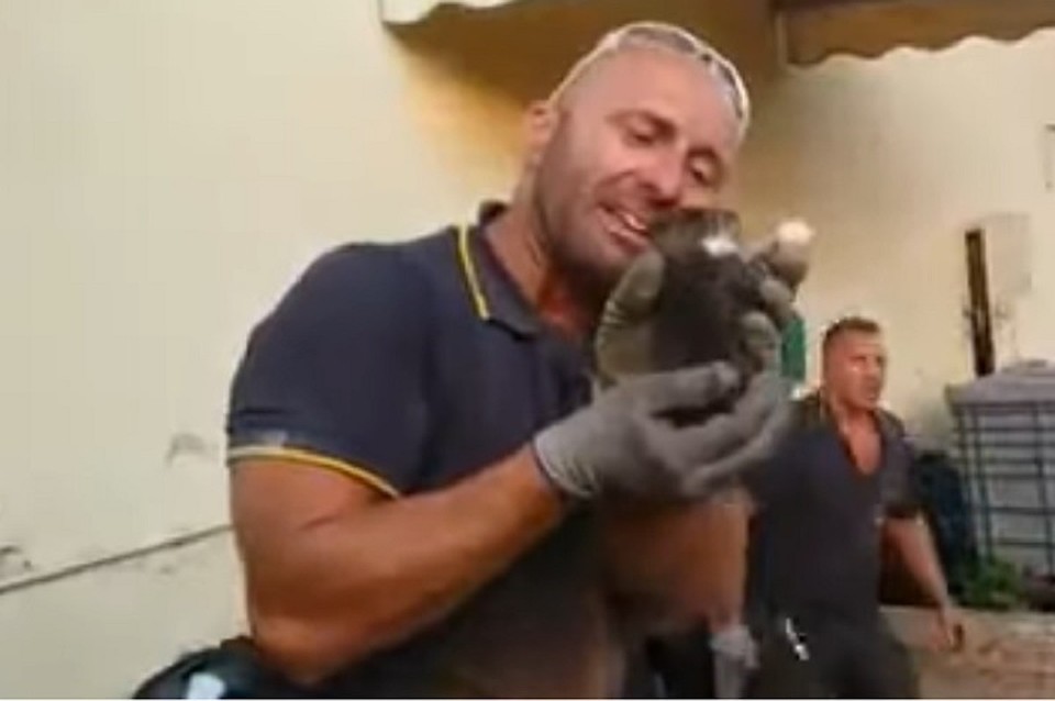 Итальянский пожарный спас котенка и не смог сдержать эмоций