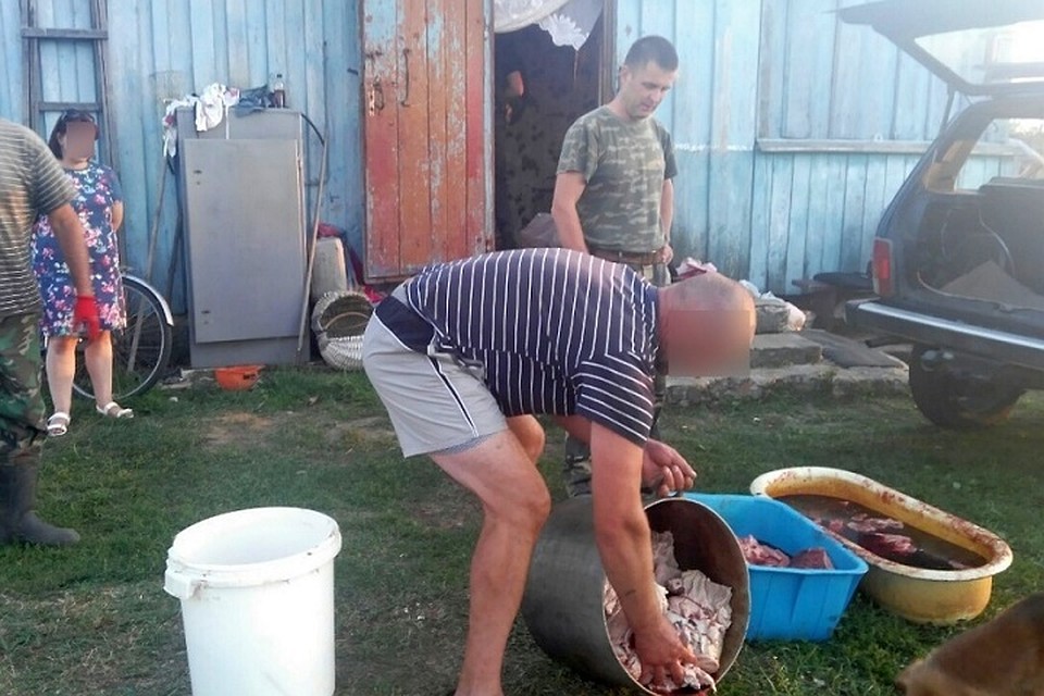На подворье сельчанина была обнаружена свежая лосятина. Фото: gosinspekciya.gov.by.