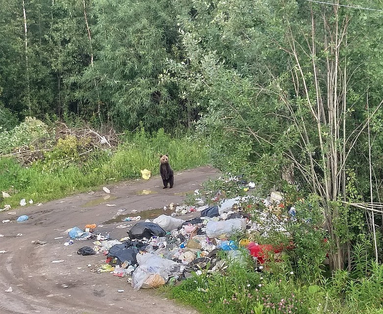 Фото Натальи Литвиновой