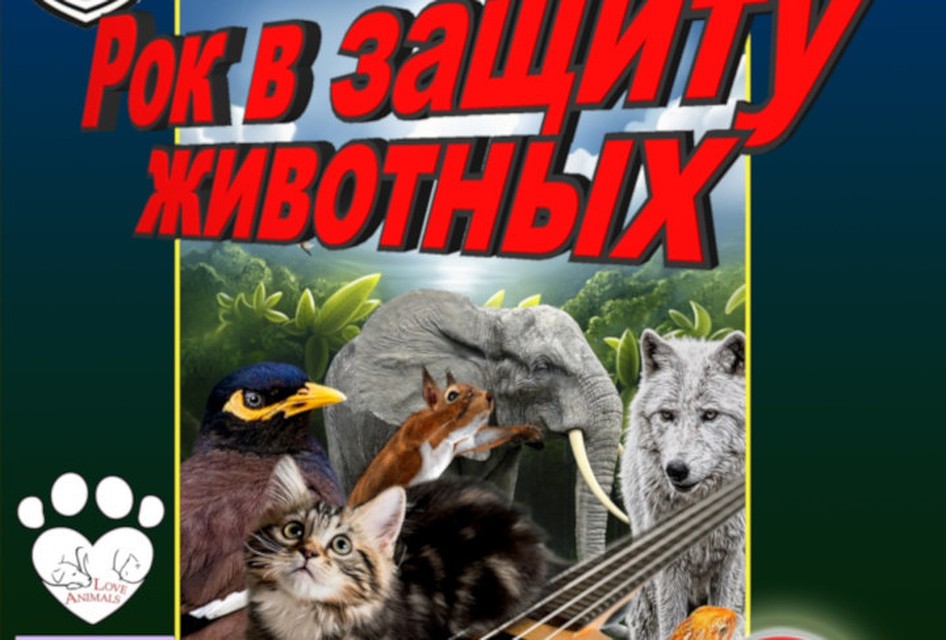 Все вырученные средства будут перечислены в приют животных