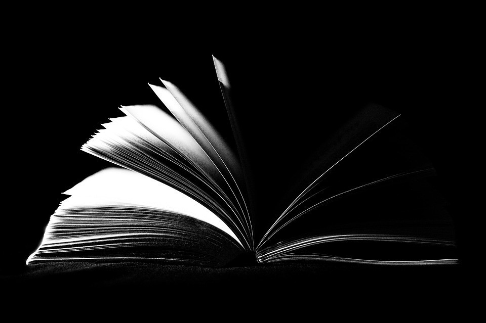 В результате общественный резонанс достиг такого уровня, что акимат Алматы был вынужден публично отреагировать на проблему.