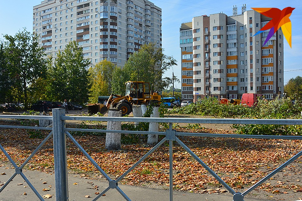 Рабочих заметили в пятницу, 13 сентября.