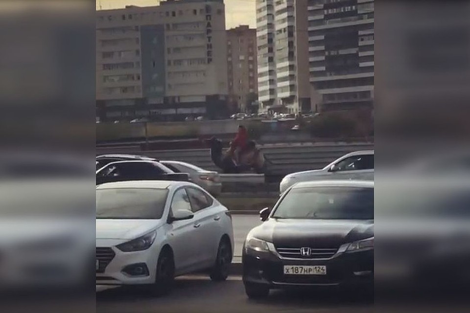 Девушка на верблюде подняла настроение стоящим в пробке водителям. Стоп-кадр с видео.
