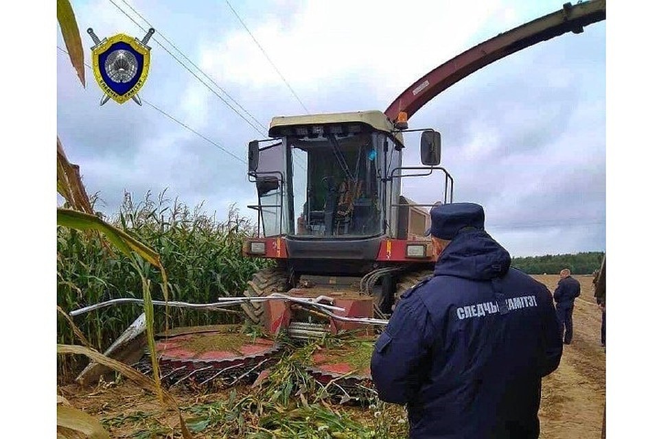 Во время уборки кукурузы комбайн жаткой наехал и травмировал женщину. Фото: СК.