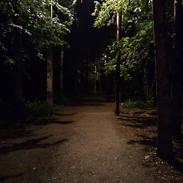 Фото: Ирина Бурцева