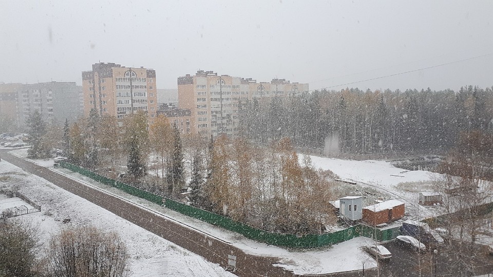 Горожане делятся фотографиями в социальных сетях