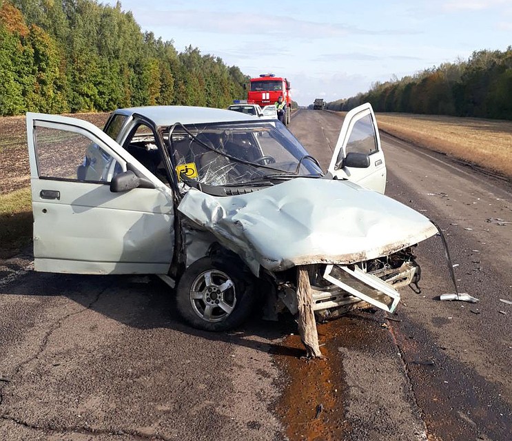 Всего на дорогах области произошло 7 аварий с пострадавшими
