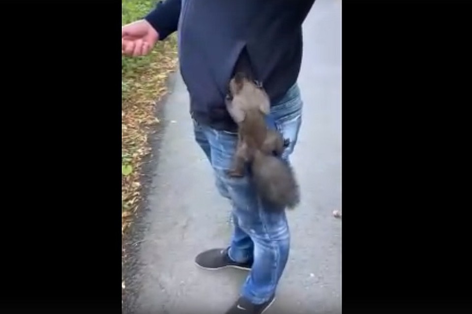 Фото: Нетипичный Ставрополь