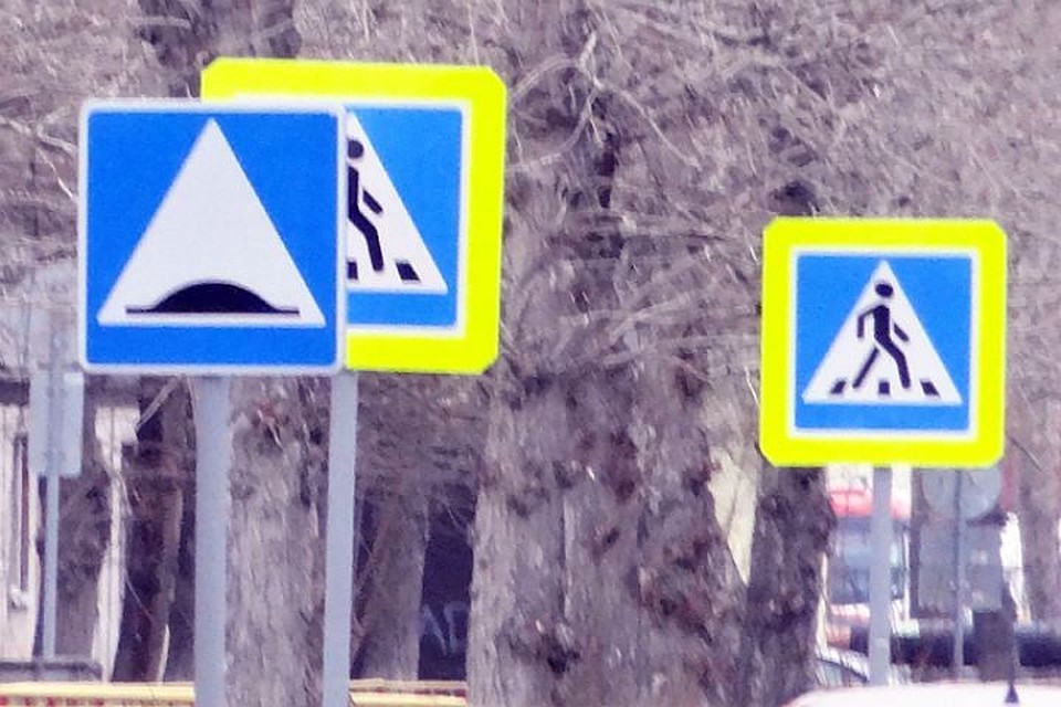 Тюменских школьников учили выбирать бесопасные маршруты